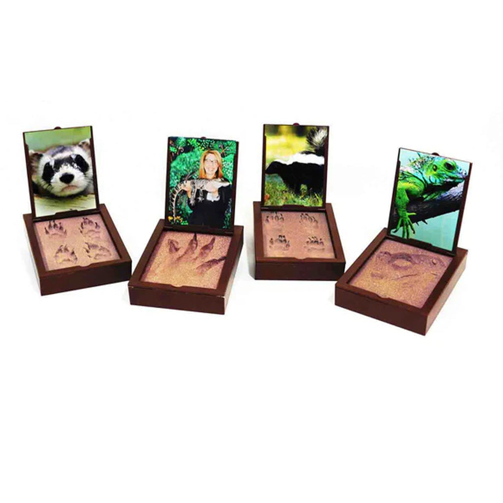 Four wooden photo frames with embedded pet prints on a white background