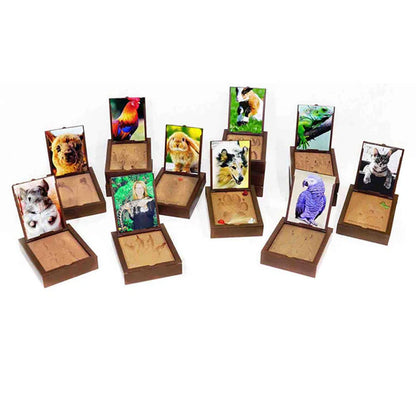 Set of wooden photo frames with various animal images on a white background