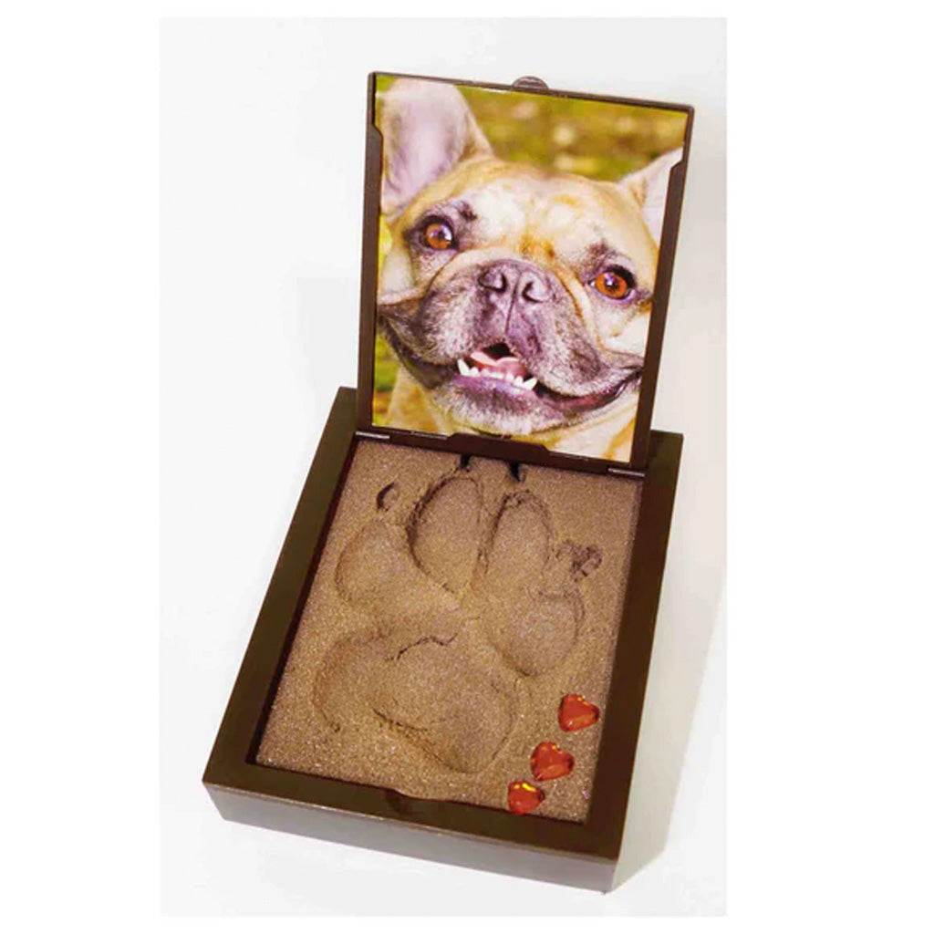 Memorial sand sculpture with a dog's paw print and photo of a dog in a wooden box.