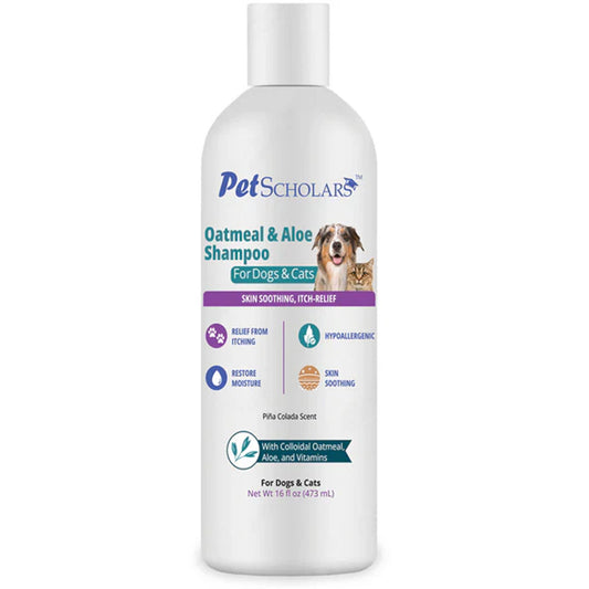 Pet Scholars Oatmeal & Aloe Shampoo bottle for dogs and cats on a white background