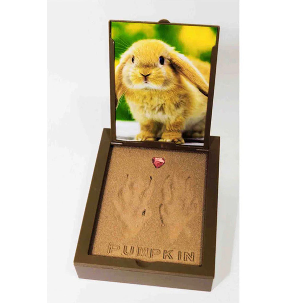 Wooden box with a picture of a rabbit on top, engraved with 'Pumpkin'.