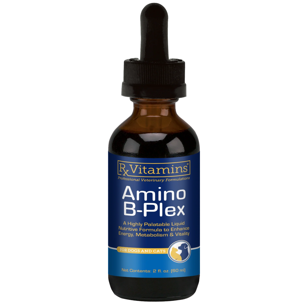 Bottle of Rx Vitamins Amino B-Plex on a white background