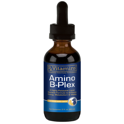 Bottle of Rx Vitamins Amino B-Plex on a white background