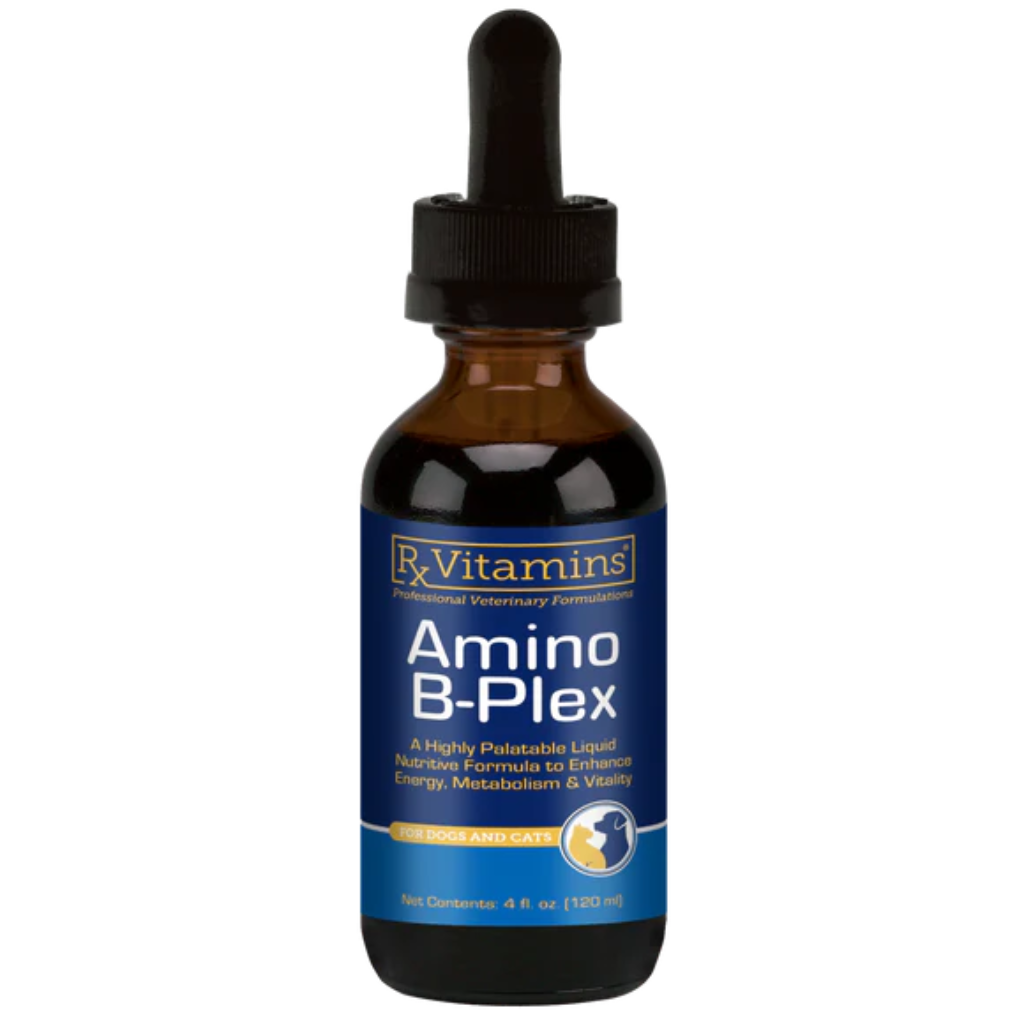 Bottle of Rx Vitamins Amino B-Plex on a white background