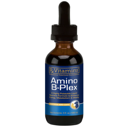 Bottle of Rx Vitamins Amino B-Plex on a white background