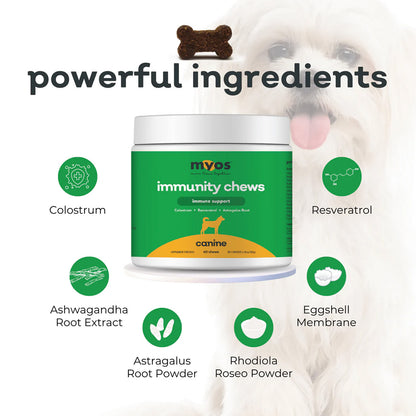 MYOS Canine Immunity Chews ingredients – Immune Support for Dogs | UK Stock