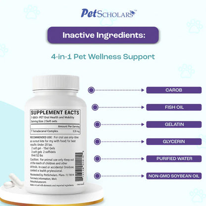 Supplement bottle with inactive ingredients listed on a white background
