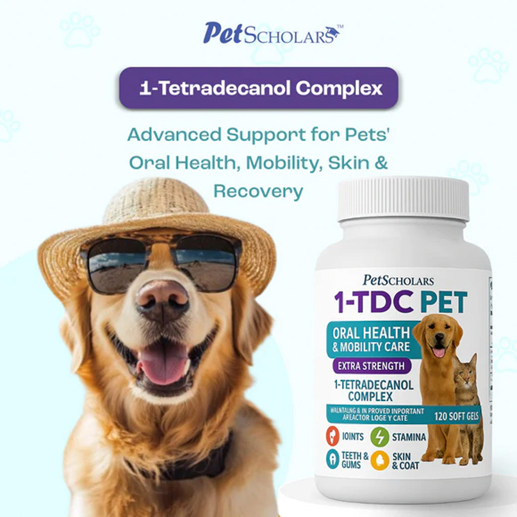 Dog wearing sunglasses and a hat next to a bottle of Pet Scholars 1-TDC PET supplement on a light blue background.