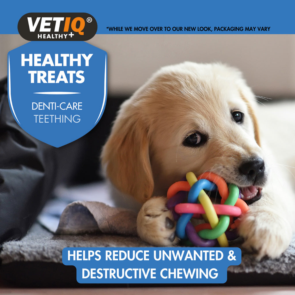 VETIQ® Healthy Denti-Care Teething Treats for Puppies – Natural Teething Relief
