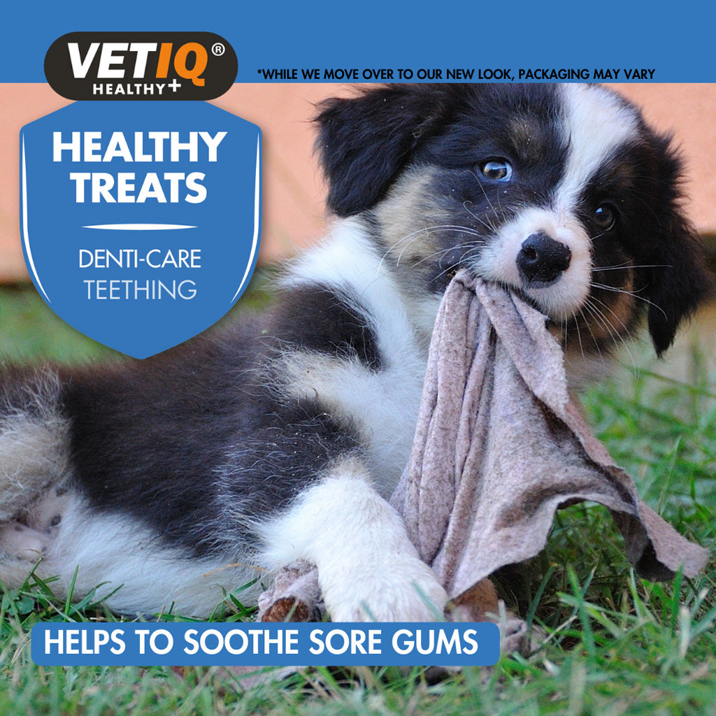 VETIQ® Healthy Denti-Care Teething Treats for Puppies – Natural Teething Relief