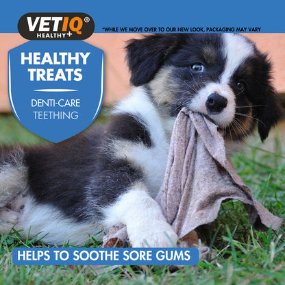 VETIQ® Healthy Denti-Care Teething Treats for Puppies – Natural Teething Relief