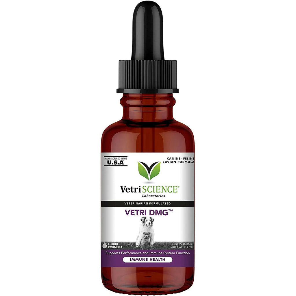 VetriScience Vetri DMG Liquid Immune Supplement for Dogs & Cats – UK Stock