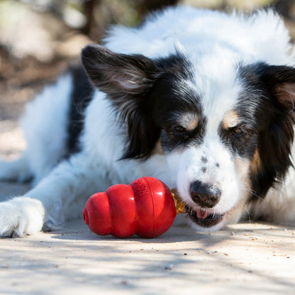 KONG Snacks Bacon and Cheese for Dogs – All-Natural Biscuits