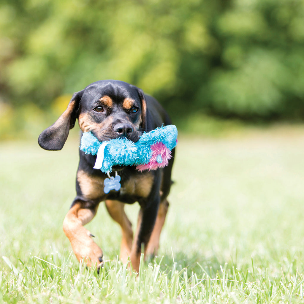 KONG Cozie Brights – Soft & Durable Plush Toys for Dogs