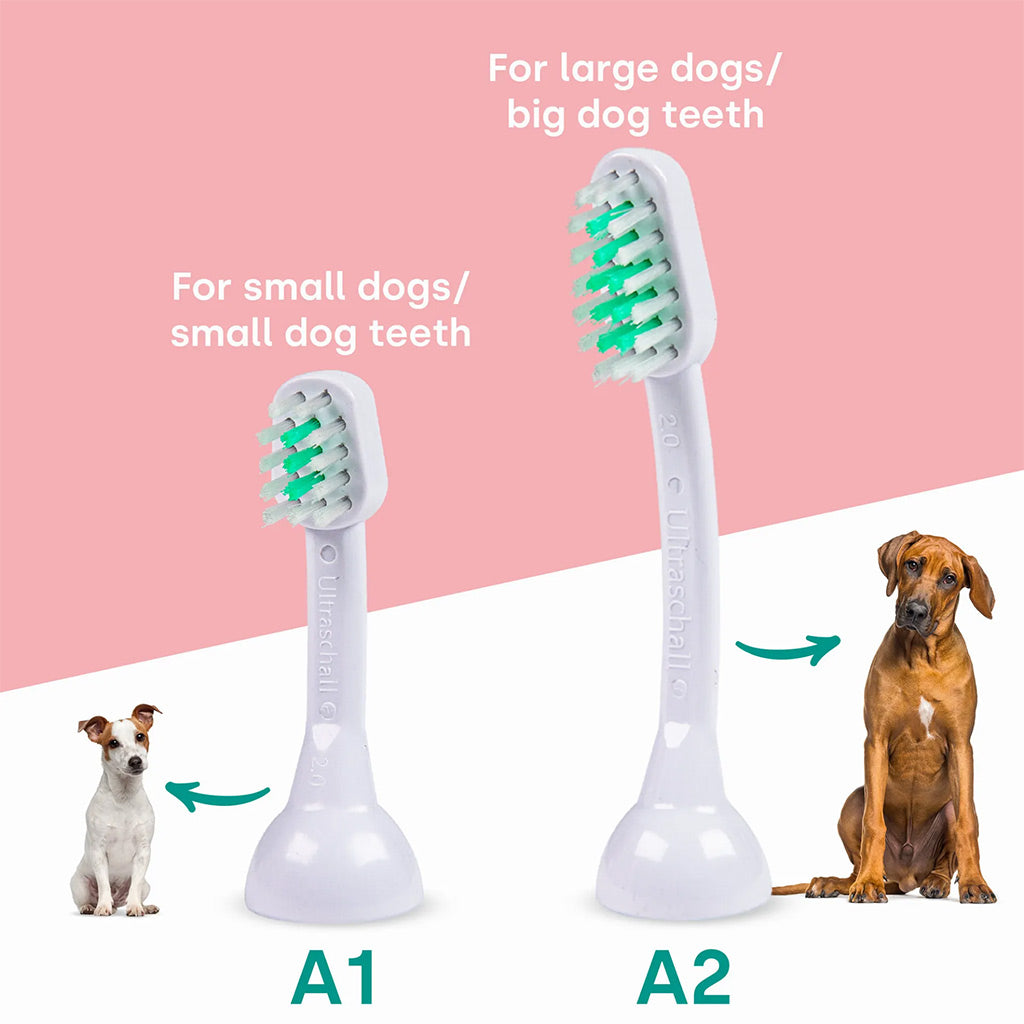 emmi-pet ultrasonic large and small A1 A2 toothbrush heads with dogs