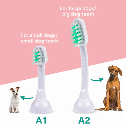 emmi-pet ultrasonic large and small A1 A2 toothbrush heads with dogs