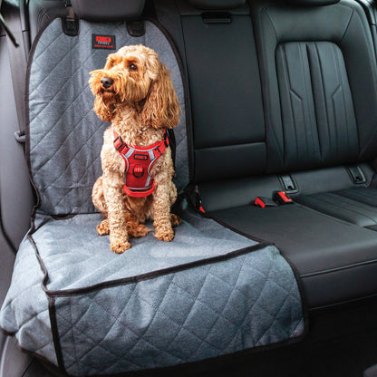 Dog sitting on a car seat cover with a visible KONG brand logo.