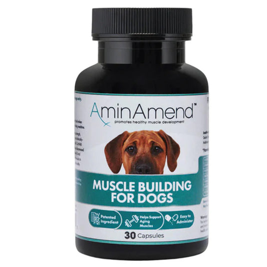 AminAmend Dog Formula amino acid supplement for muscle support, product pack
