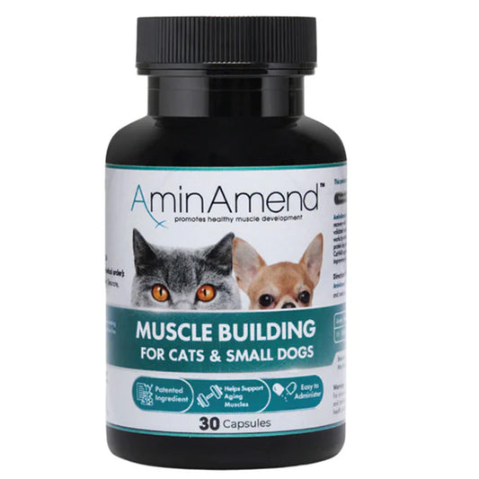 AminAmend essential amino acid supplement for cats and small dogs, product pack