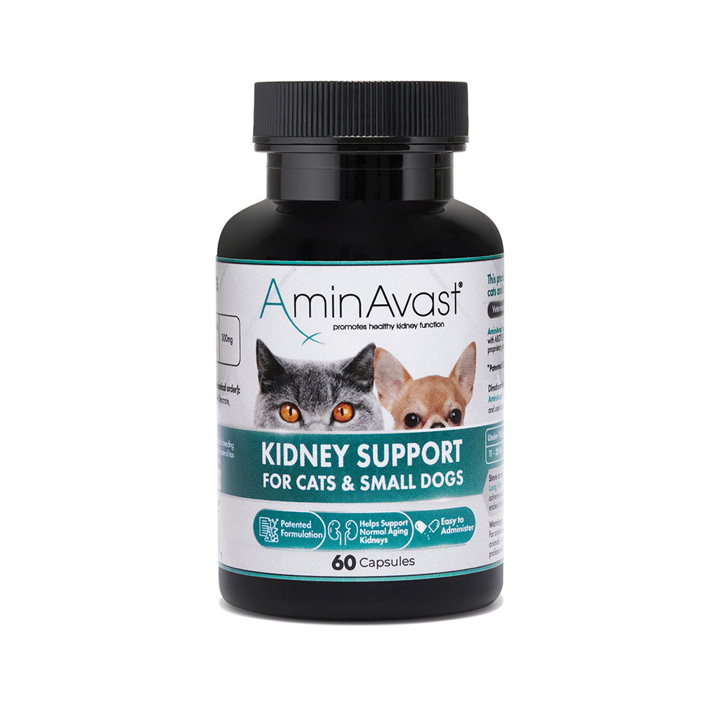 AminAvast kidney support supplement bottle for cats and small dogs on a white background