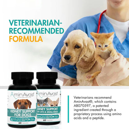 AminAvast Kidney Support for Dogs – Advanced Renal Health Supplement UK Stock