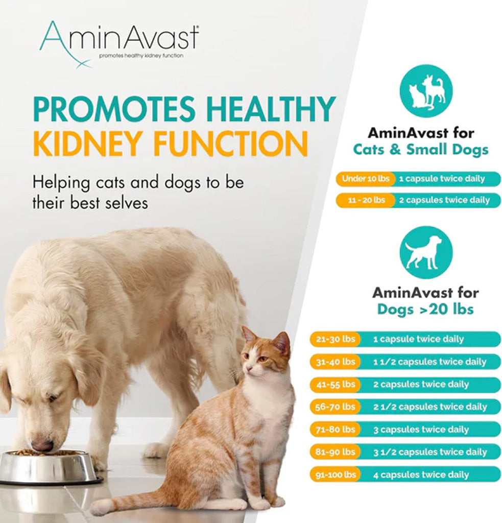 AminAvast Kidney Support for Dogs – Advanced Renal Health Supplement UK Stock dosage