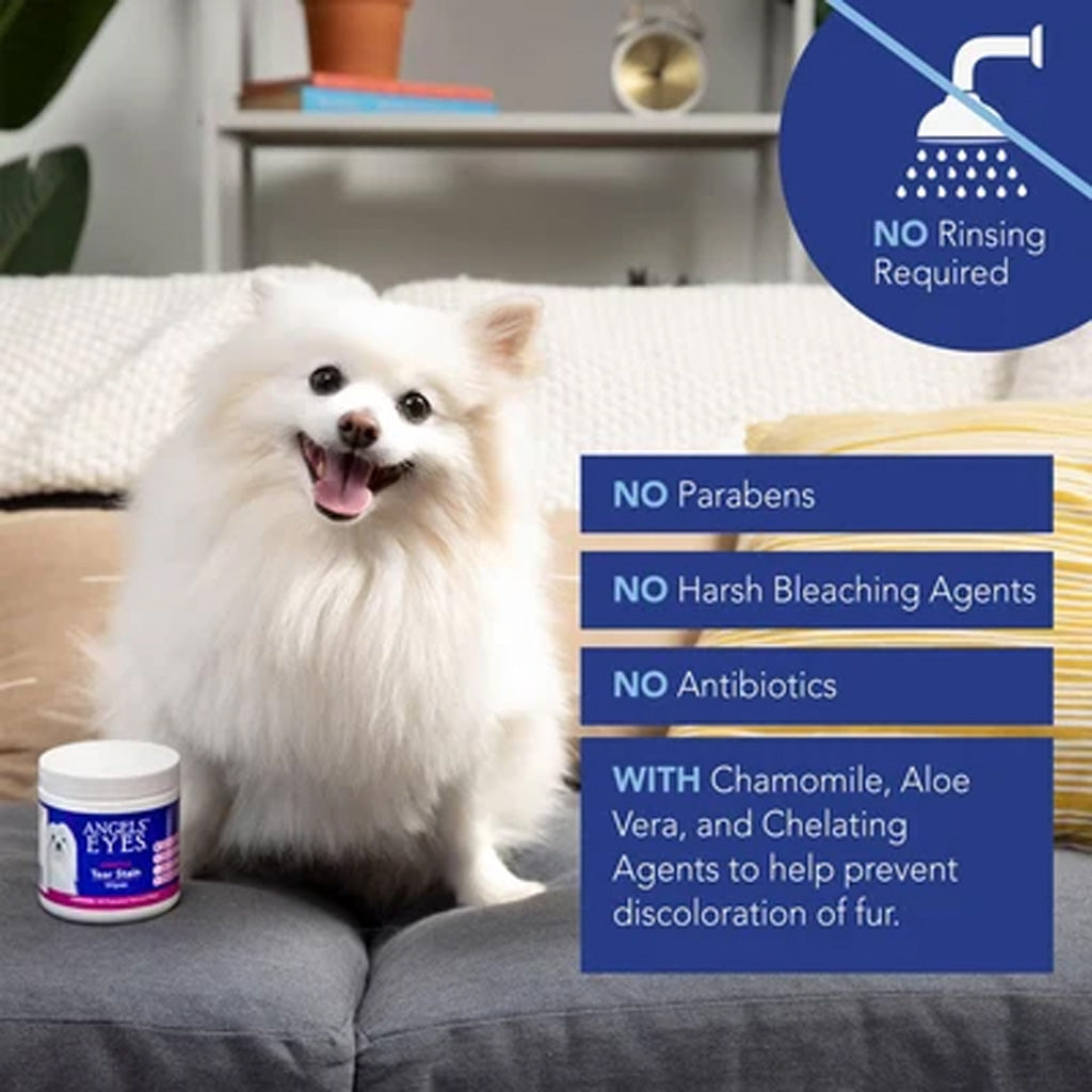 A fluffy white Pomeranian dog sits on a gray couch next to a jar of Angel Eyes pet eye drops, with promotional text overlays highlighting product benefits and a blue circular badge stating 'NO Rinsing Required'.