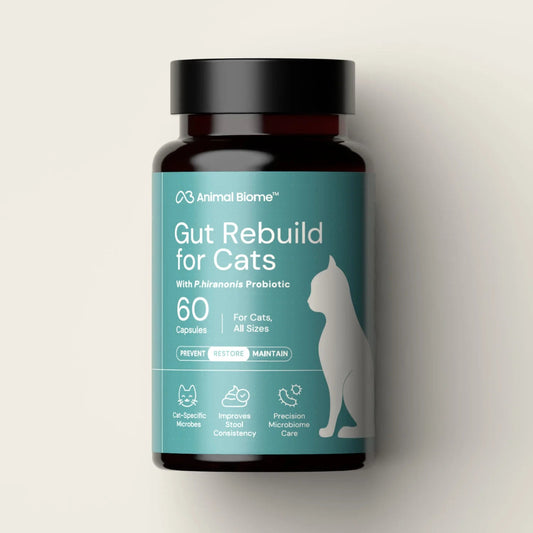 A dark amber bottle of Animal Biome Gut Rebuild for Cats capsules, featuring a teal label with a white cat silhouette and product details, set against a warm beige background.
