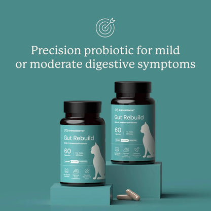 Two bottles of Animal Biome Gut Rebuild Precision Probiotic for cats displayed on teal pedestals against a teal background, with two capsules in the foreground and marketing text above.