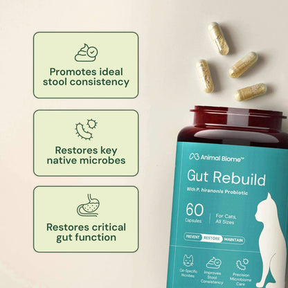 Animal Biome Gut Rebuild cat probiotic supplement bottle with floating capsules on a light beige background, accompanied by three green informational callout boxes describing benefits.