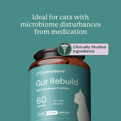 A bottle of Animal Biorne Gut Rebuild probiotic capsules for cats, shown against a teal background with promotional text and a badge highlighting clinically studied ingredients.