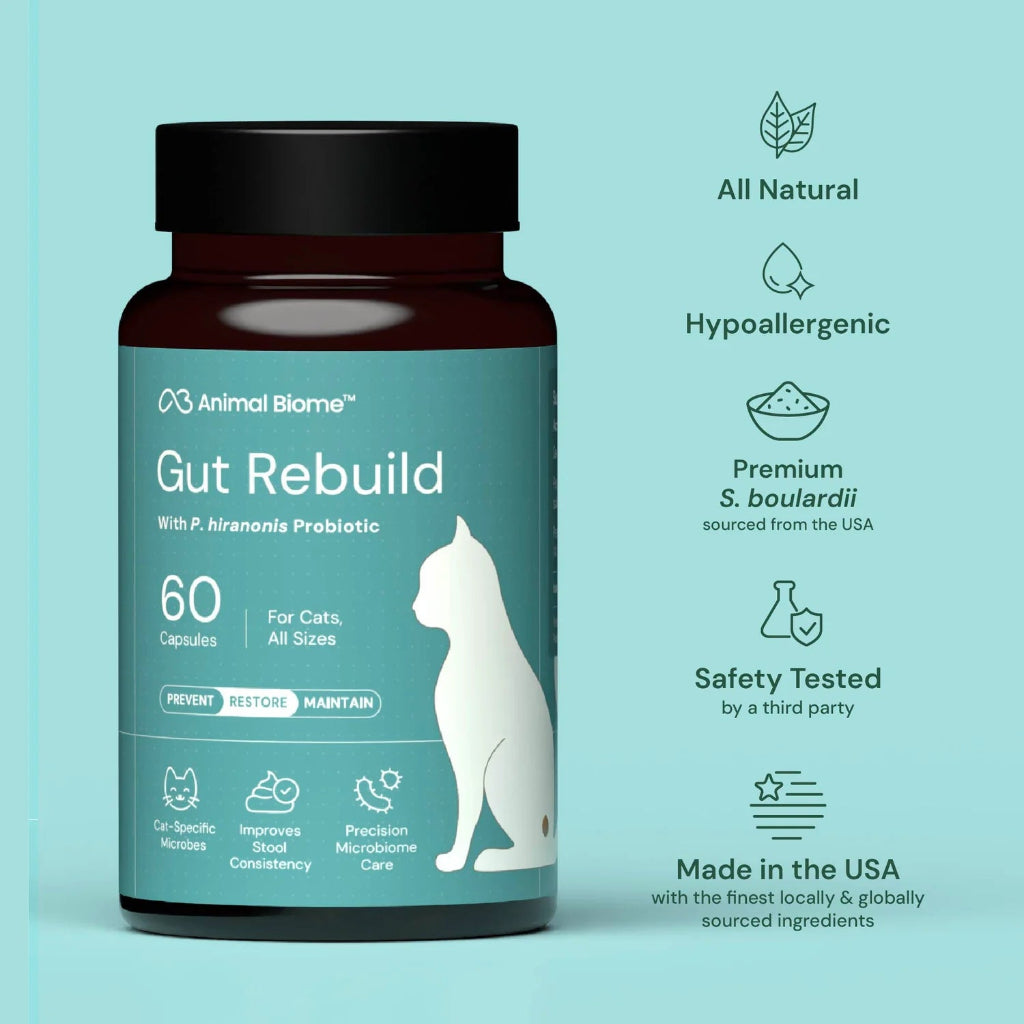 A bottle of Animal Biome Gut Rebuild probiotic capsules for cats, shown on a light teal background with feature callouts on the right.