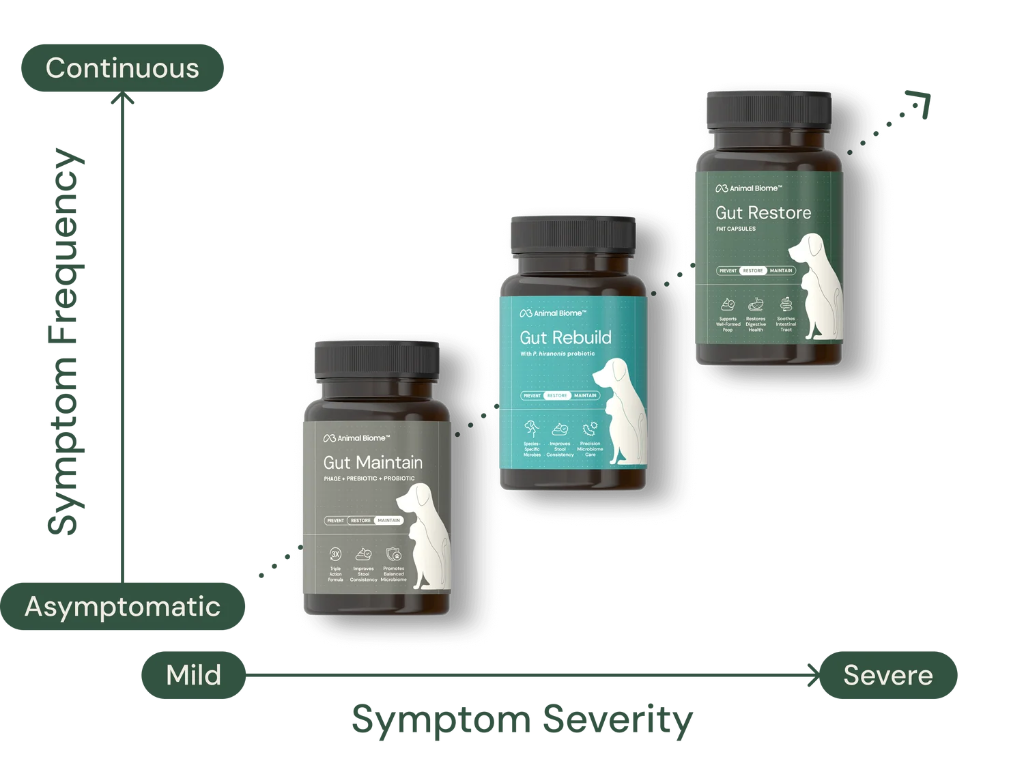 Three supplement bottles for dogs and cats are arranged on a graph showing symptom frequency and severity. The bottles are labeled Gut Maintain, Gut Rebuild, and Gut Restore.