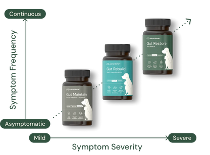 Three supplement bottles for dogs and cats are arranged on a graph showing symptom frequency and severity. The bottles are labeled Gut Maintain, Gut Rebuild, and Gut Restore.