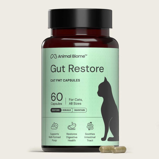 A bottle of Animal Biome Gut Restore cat supplement capsules with a black cap and a light green label, shown on a light beige background with two capsules in front.