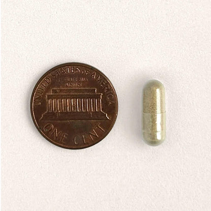 Pill next to a penny on a white background