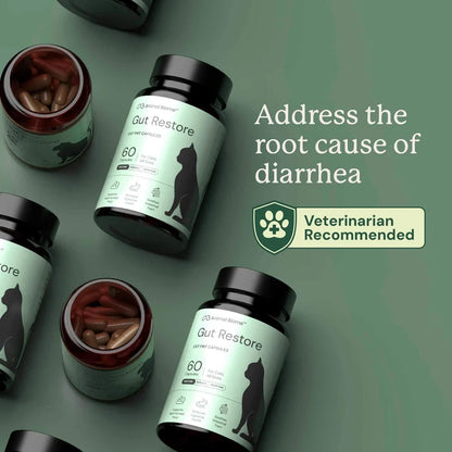 Several gut health supplement bottles for cats are arranged on a muted green background, with two open bottles showing brown capsules. The label reads 'Gut Restore' and includes a black cat silhouette.