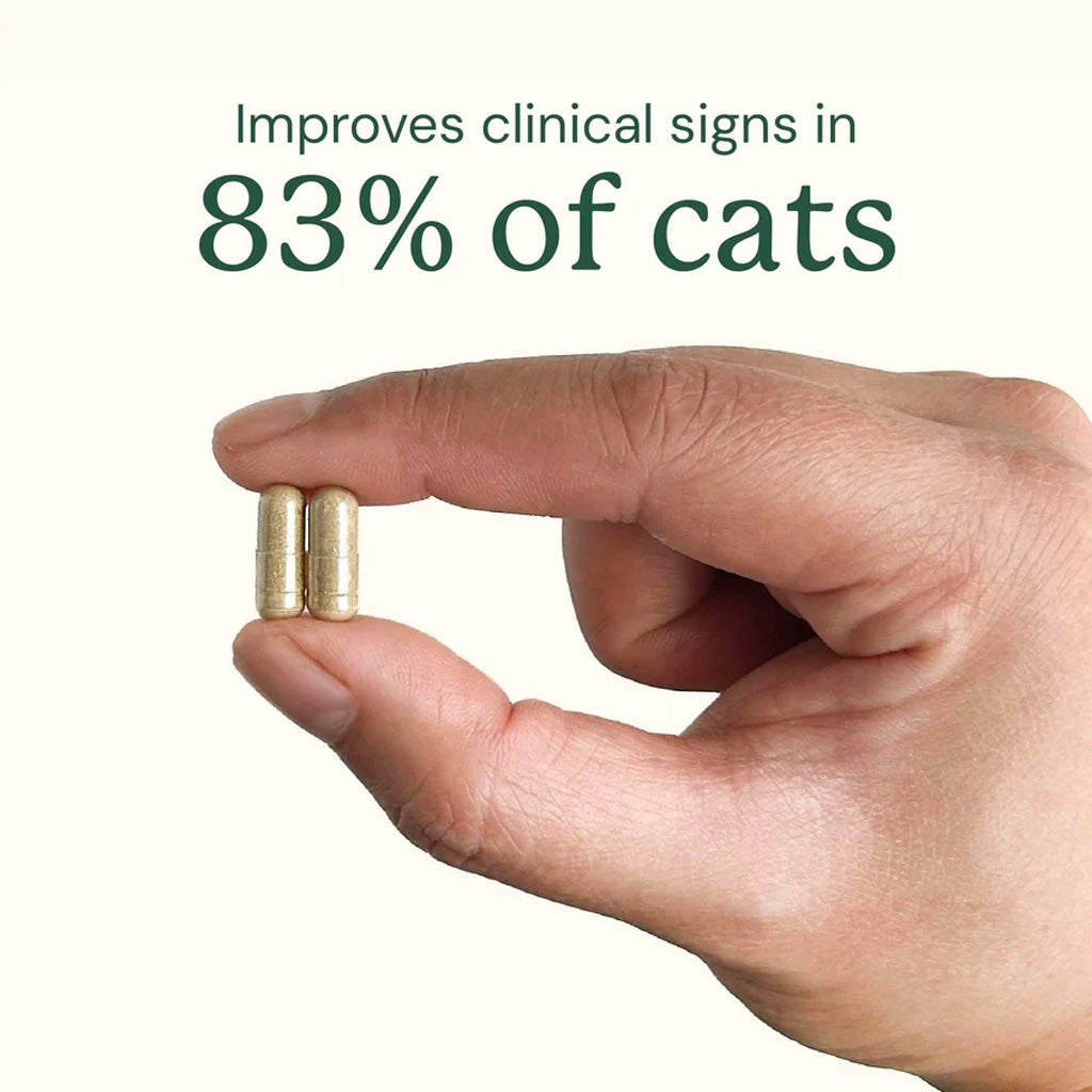Hand holding two capsules with text indicating improvement in 83% of cats.