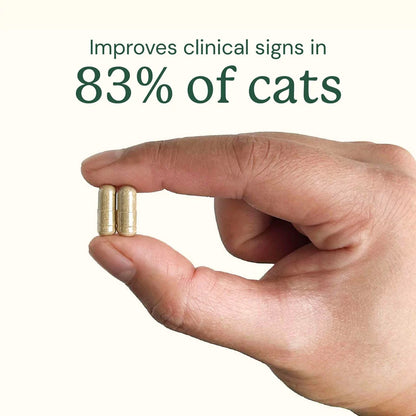 Hand holding two capsules with text indicating improvement in 83% of cats.