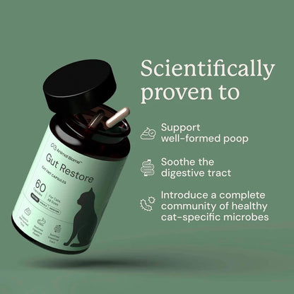 A bottle of Animal Biome Gut Restore cat supplement capsules shown at an angle on a muted green background, with marketing text on the right describing benefits for digestive health and microbiome support.