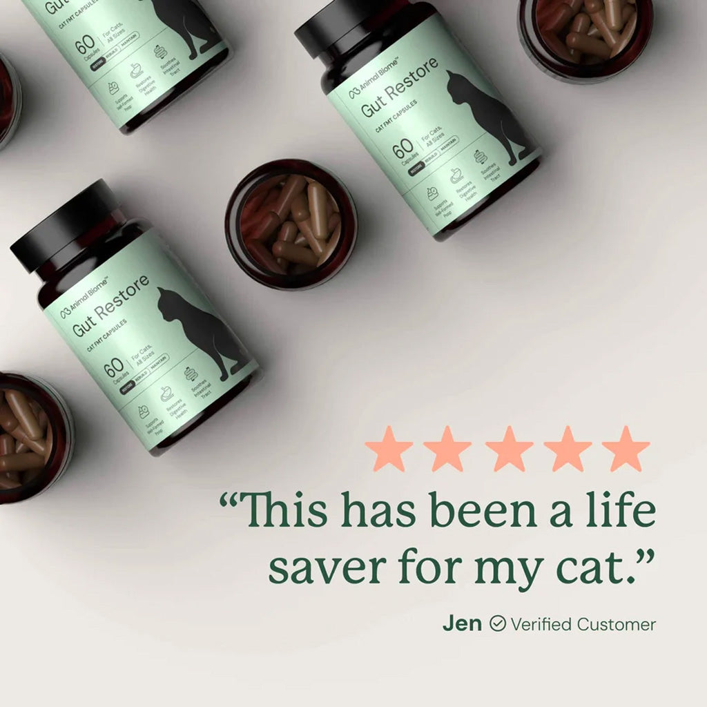 Four bottles of Animal Biome Gut Restore cat supplement with capsules visible in small open vials, arranged on a light beige background with a customer review quote and five stars.