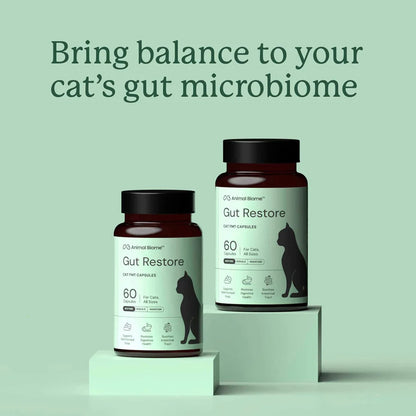 Two amber supplement bottles labeled Animal Biome Gut Restore for cats, displayed on mint-green pedestals against a pale green background with the text 'Bring balance to your cat’s gut microbiome' above them.