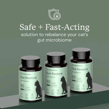 Three bottles of Animal Biome Gut Restore cat supplement capsules displayed on a dark green background with promotional text above.
