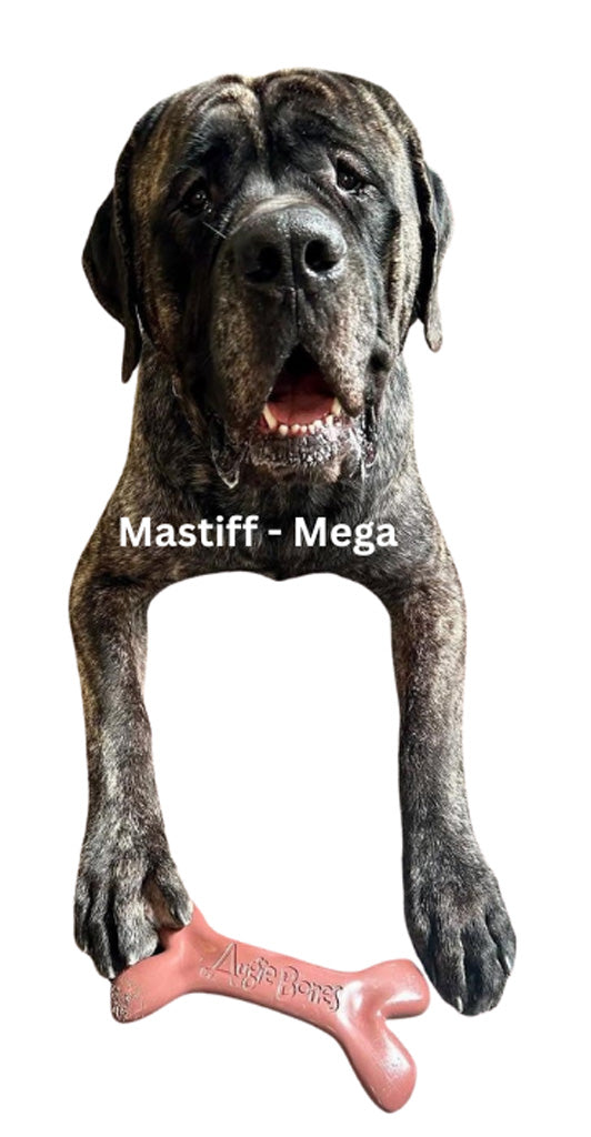 Life-size cardboard cutout of a dog with a pink bone, featuring the brand 'Augie Bones'.