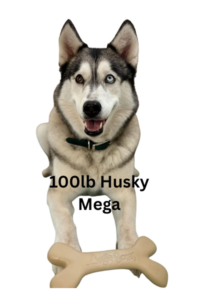 Husky dog figurine with text indicating weight and size on a white background