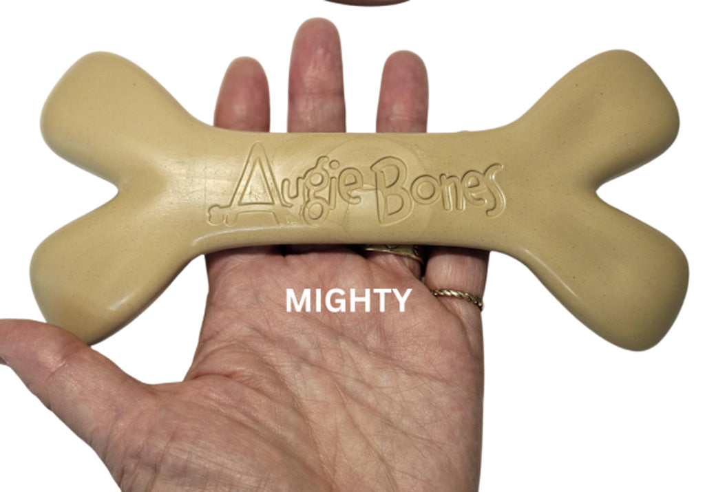 Beige bone-shaped toy with 'Augie Bones' branding held in a hand.