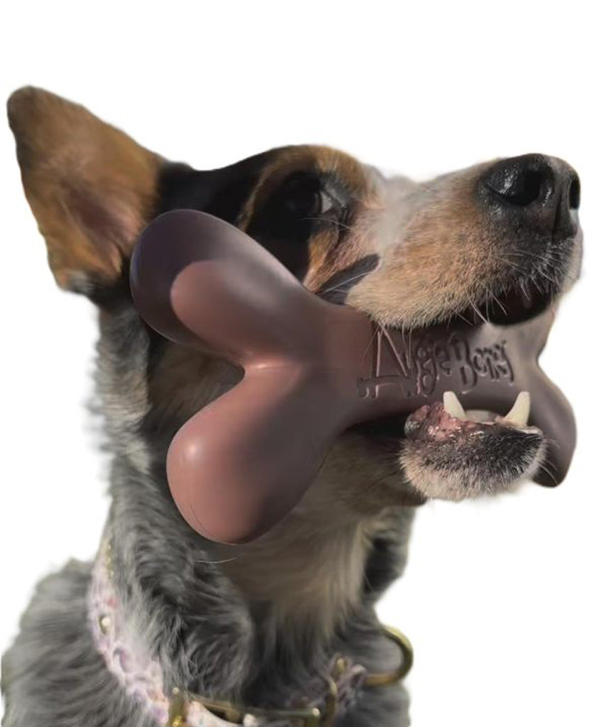 Dog holding a brown bone-shaped chew toy with a visible brand logo.