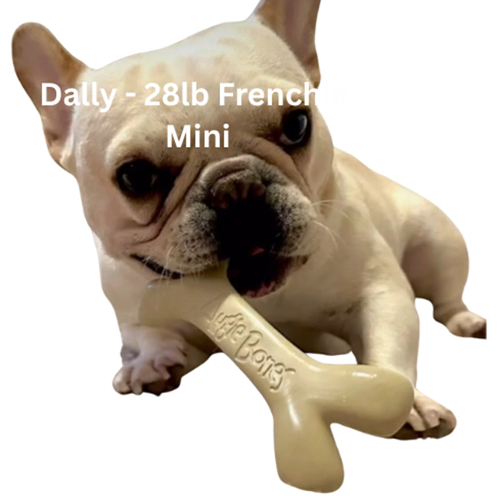 French Bulldog holding a bone-shaped toy with text indicating weight and breed.