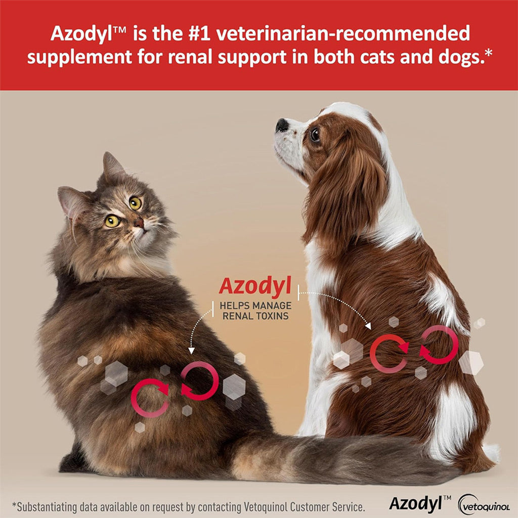 Azodyl small capsules for cats and dogs UK stock picture of cat and dog