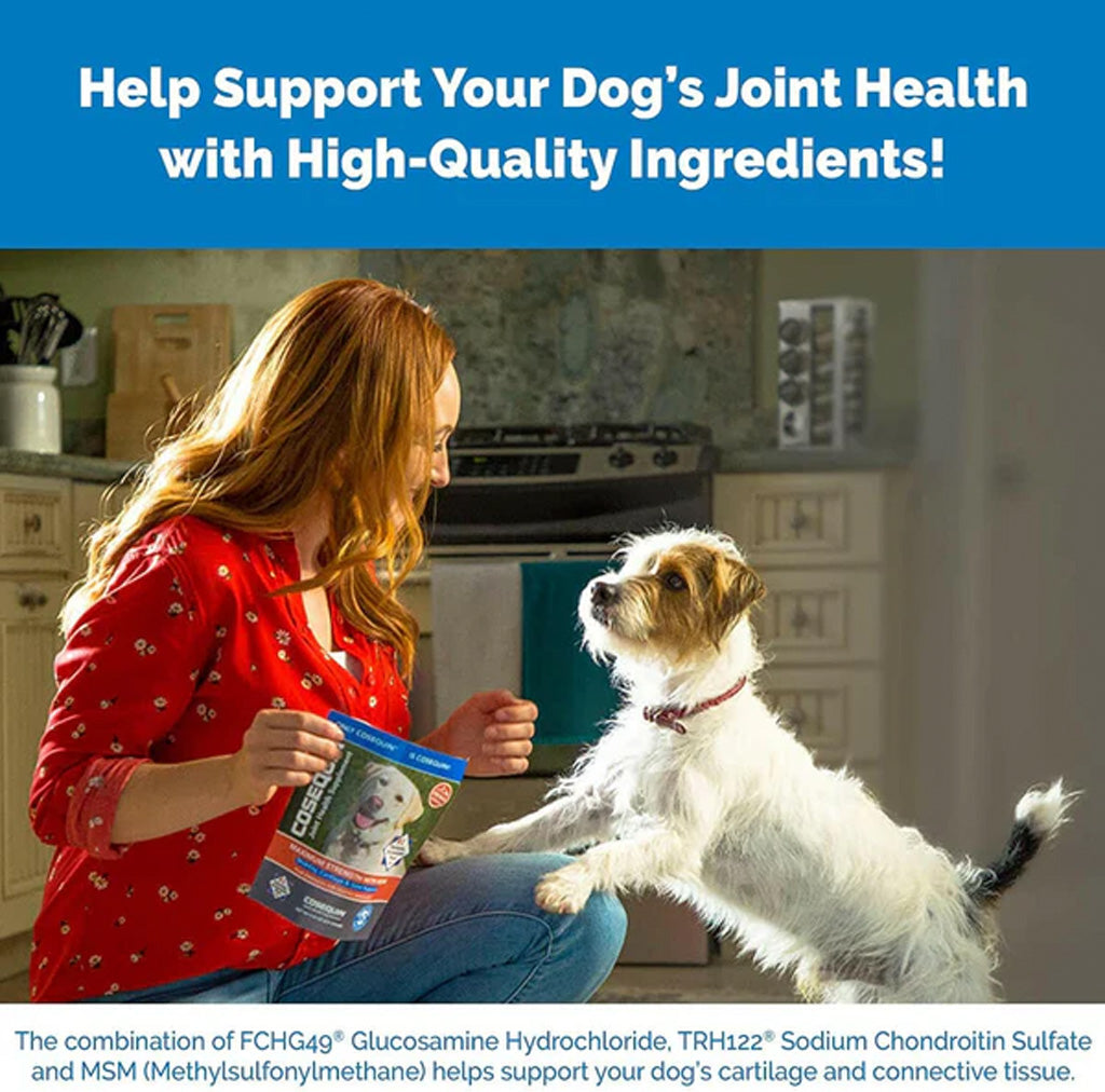 Nutramax Cosequin DS Chewable Tablets for Dogs – Joint Health & Mobility | UK Stock